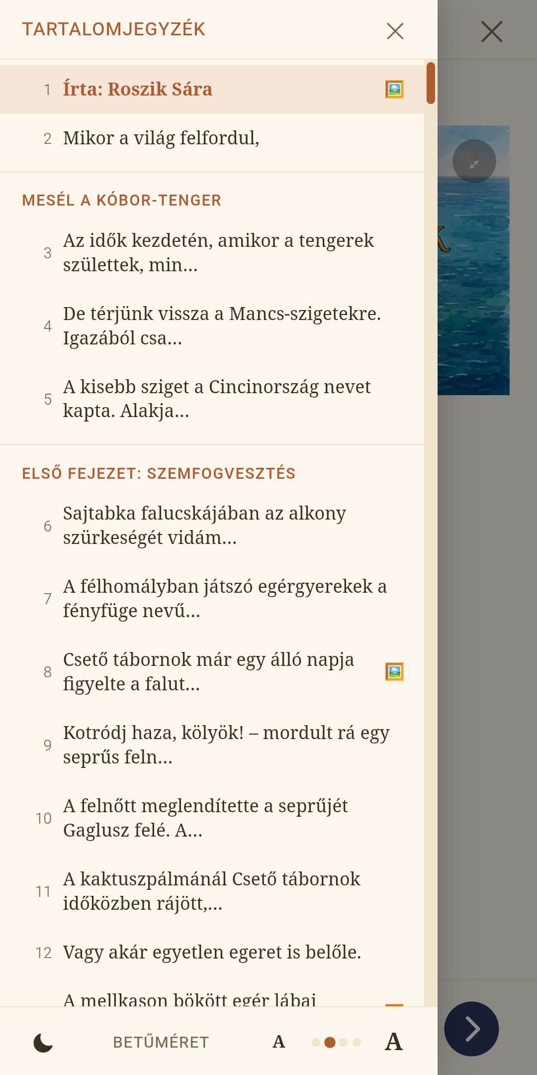 Képernyőképek